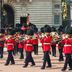 Royal Guards vor dem Buckingham Palace