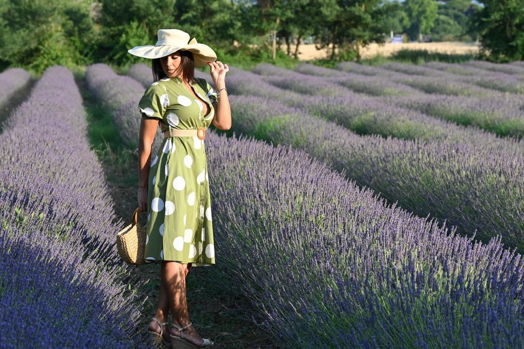 BOLGHERI: Professioneller FOTOSERVICE auf der Zypressenallee, im Weinberg und im Dorf.