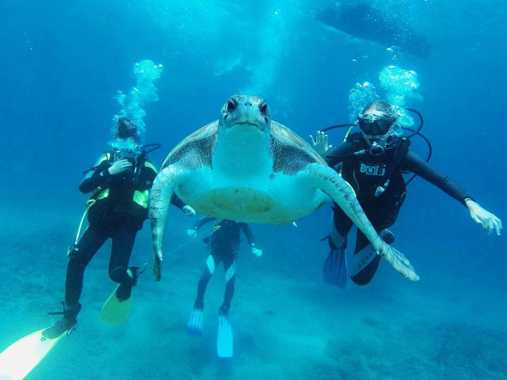 Erstmaliges Tauchen + Transfer ab Puerto de la Cruz