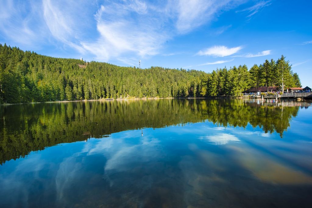 Ab Straßburg: Schwarzwald und Baden Baden Tagestour