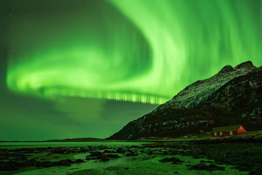 Bodø: Nordlichter-Tour in kleiner Gruppe – mit Fotos