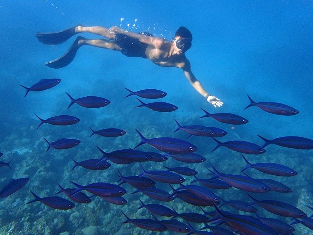 Phuket: Koh Rok und Koh Ha Tagestour (Best of Marine Park)