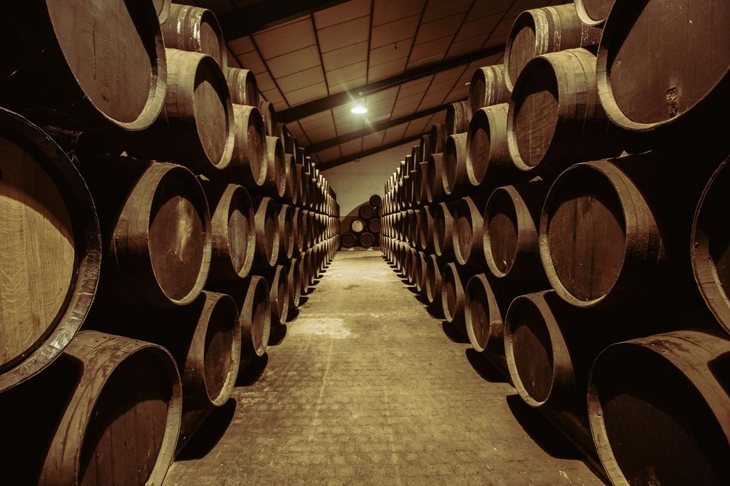 Jerez: Tour Bodegas Páez Morilla ENGLISH/DEUTSCH