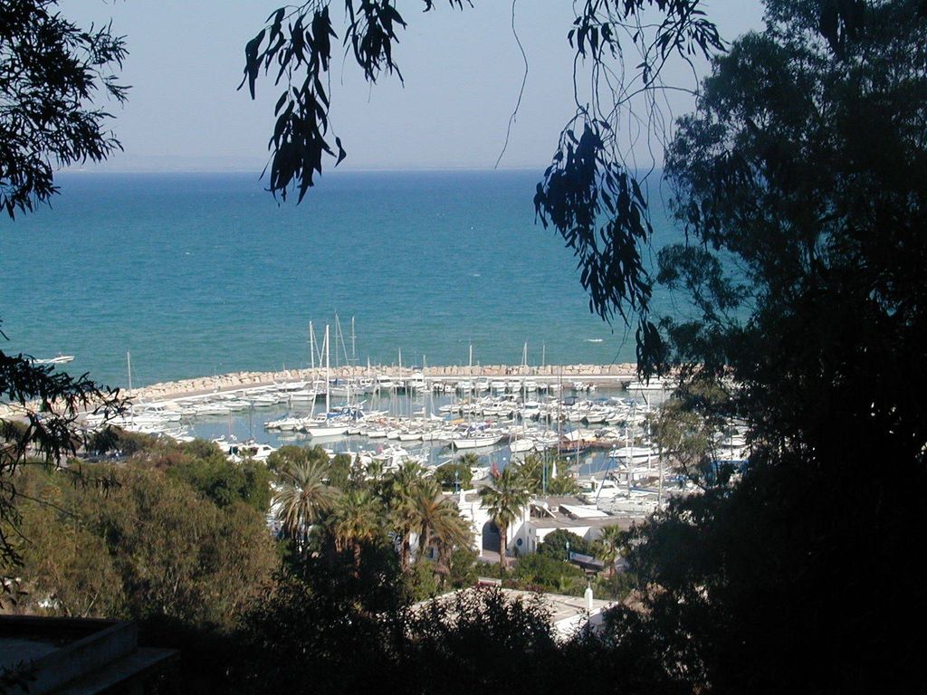 Von Tunis: Halbtagestour nach Karthago und Sidi Bou Said