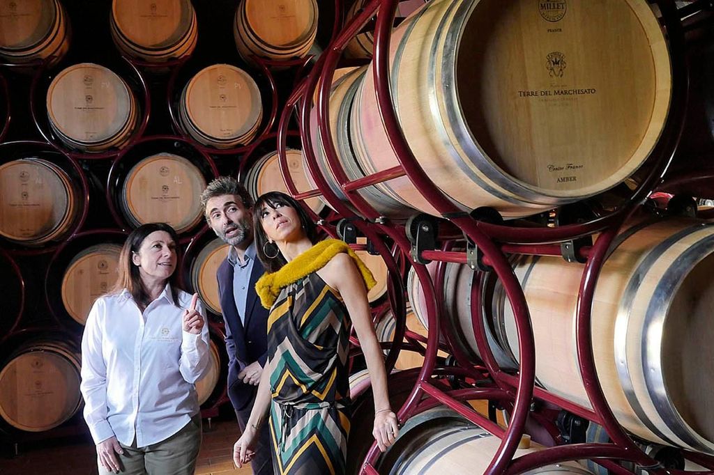 Bolgheri: Weingut Tour mit Weinverkostung