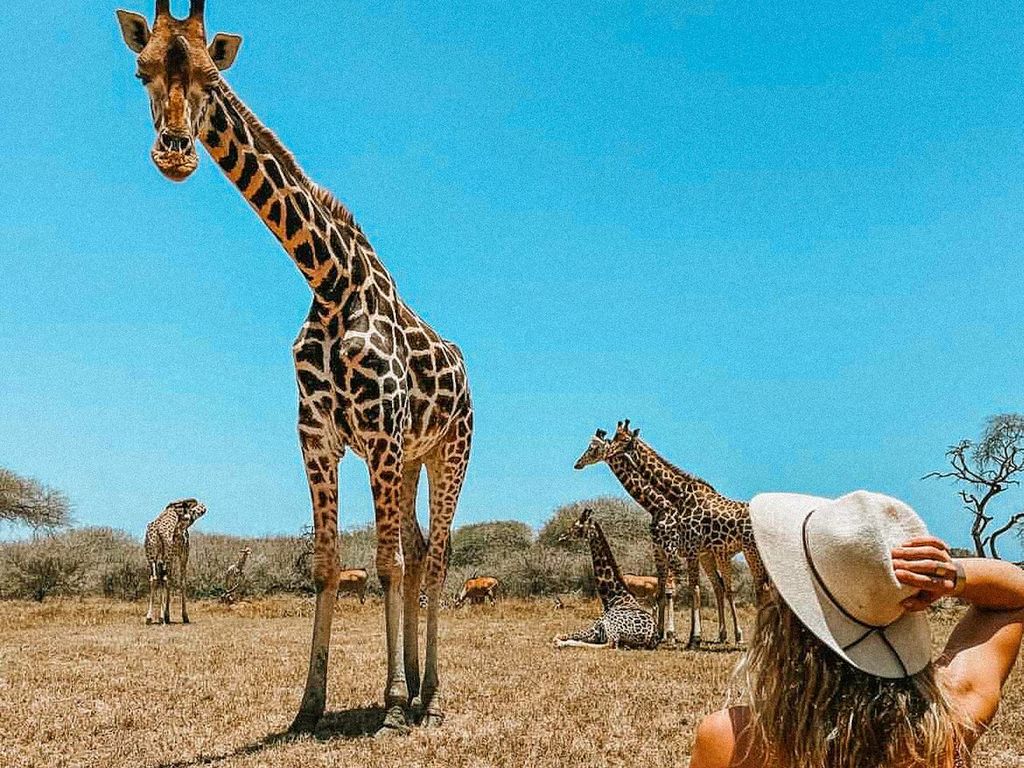 Mombasa: Geführter Naturspaziergang inmitten von Giraffen