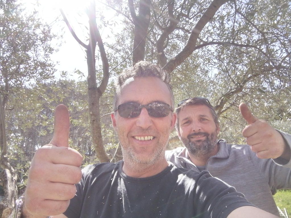 Cotignac, besuche meine Olivenhaine und entdecke das Geheimnis des Olivenöls