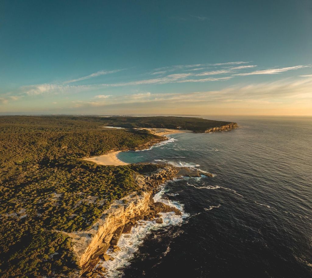 Sydney: Royal-Nationalpark: Wanderung, Schwimmen, Picknick & Koalas