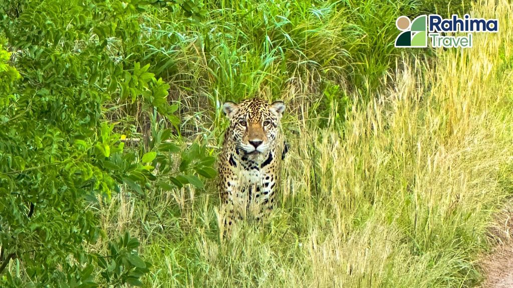 Expedition ANMI Kaa Iya im Gran Chaco