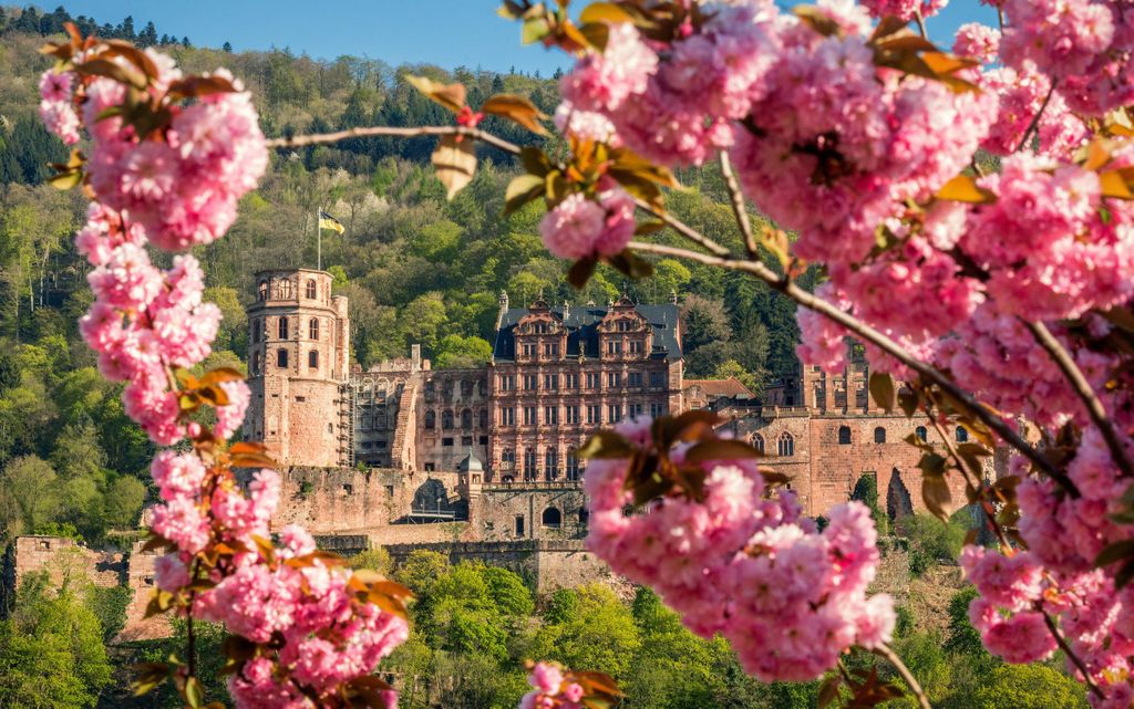 Heidelberg: Sightseeing Bus und Schloss Tour