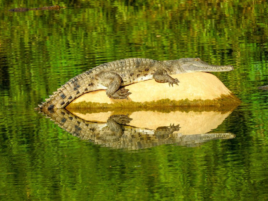 Broome nach Darwin: 10-tägige Kimberley-Tour
