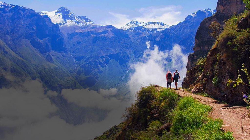 Von Arequipa: Colca Canyon Tagestour mit Transfer nach Puno