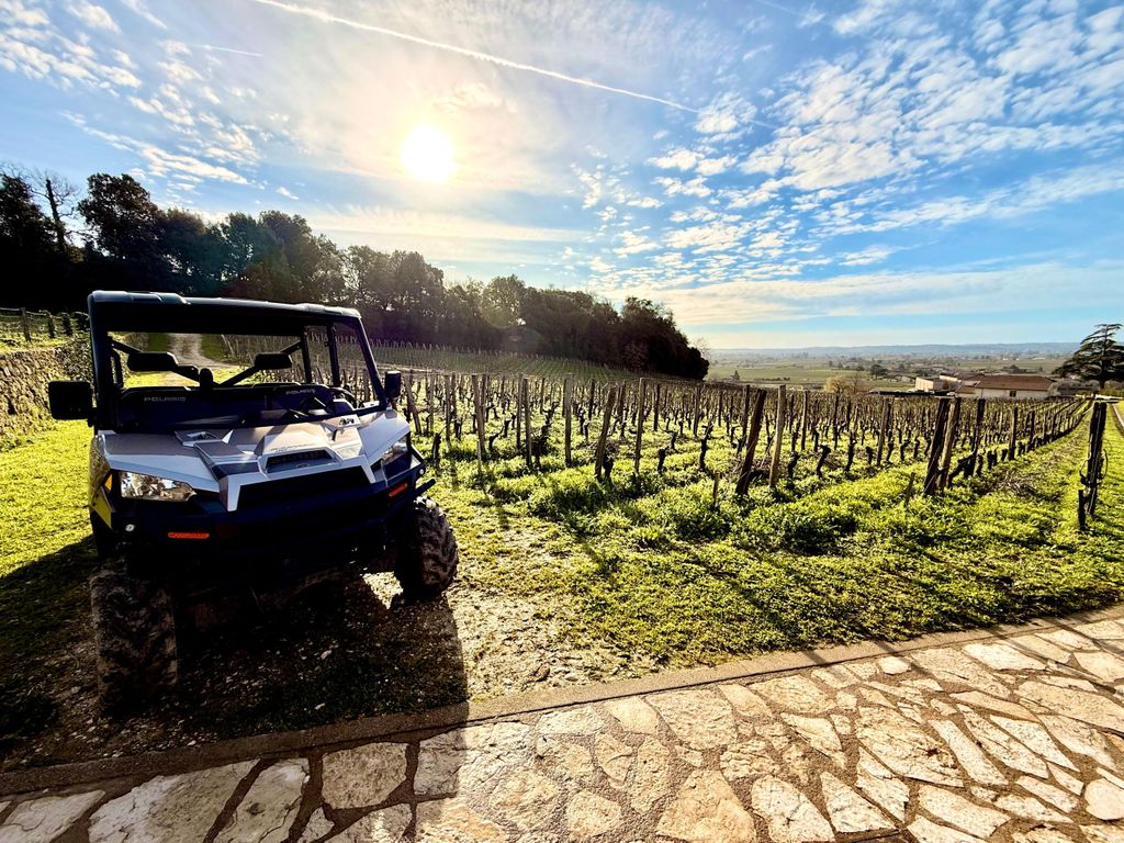 Biodynamische Weintour in Saint-Émilion
