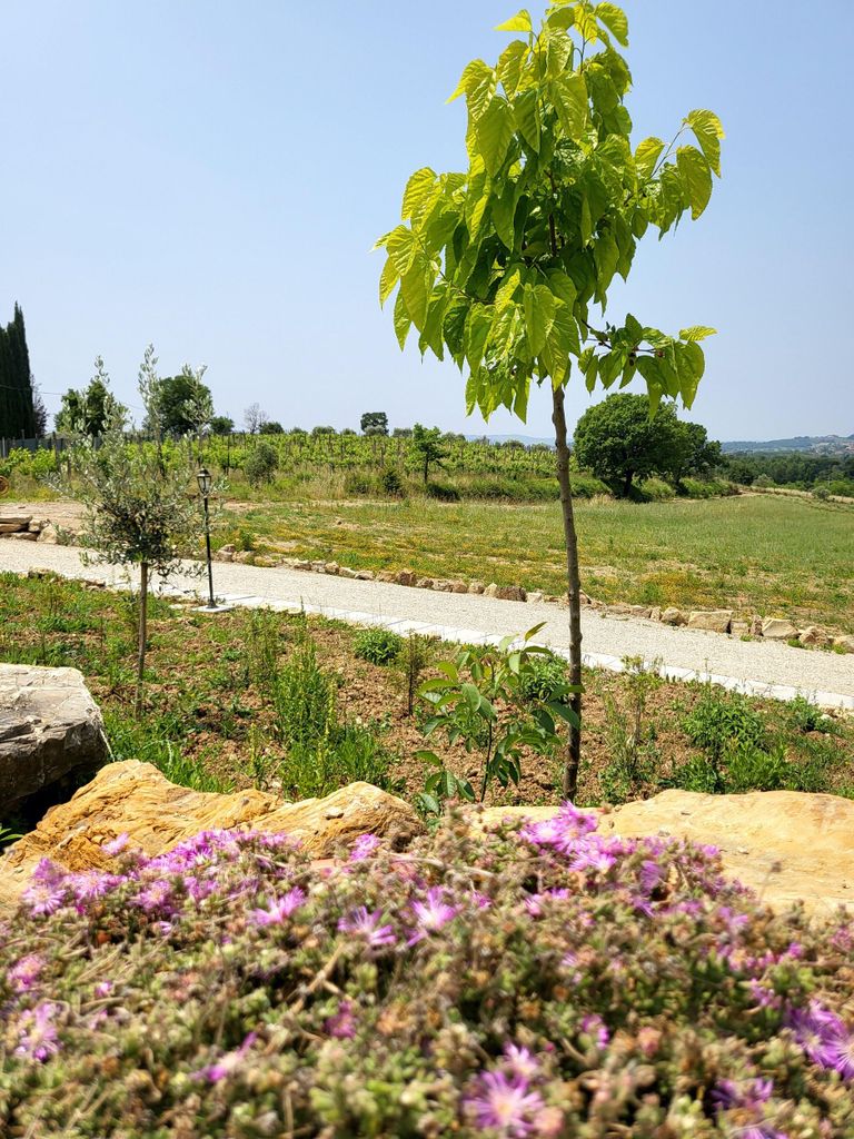 Typische toskanische Produkte, Chianti-Verkostung auf dem Bauernhof Borgunto in Arezzo