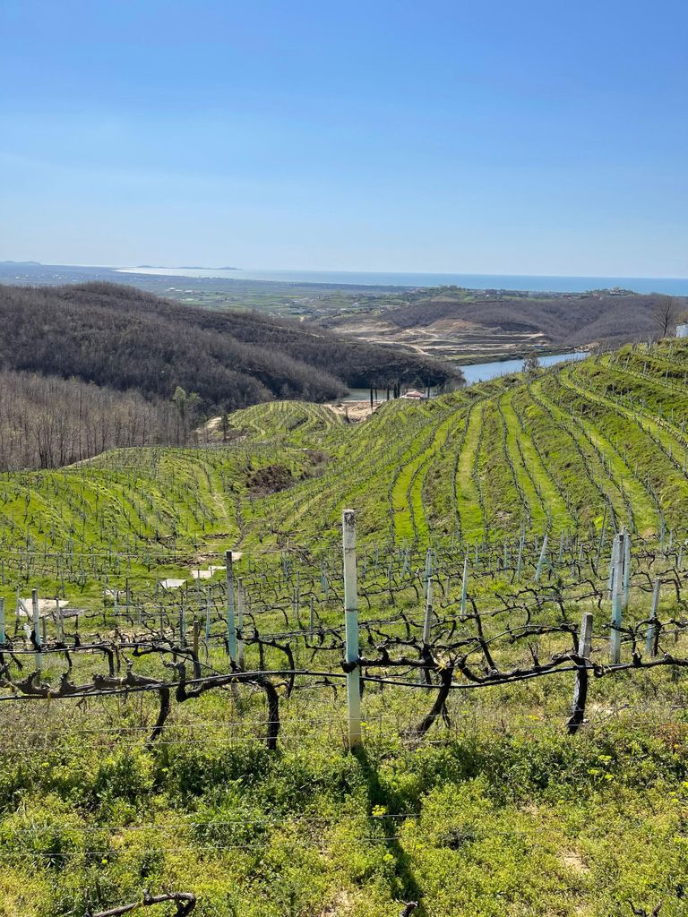 Durrës & Weinprobe-Tour