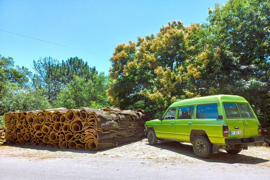 Halbtägige Jeep-Safari in den Bergen mit Schnapsverkostung