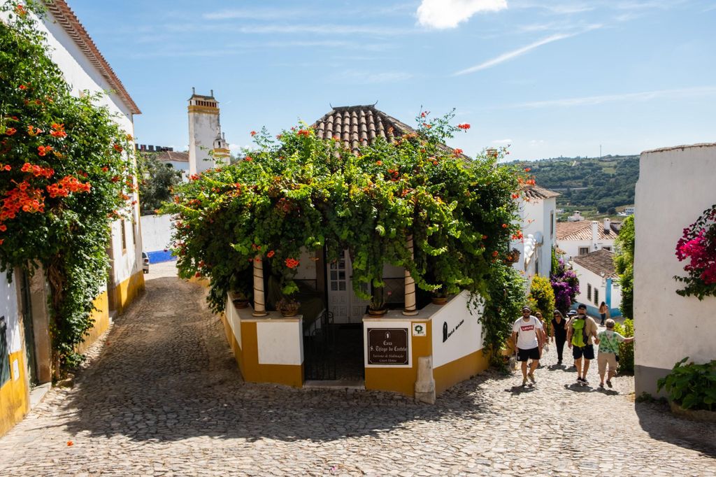 Lissabon: Private Weintour in Óbidos mit Verkostungen