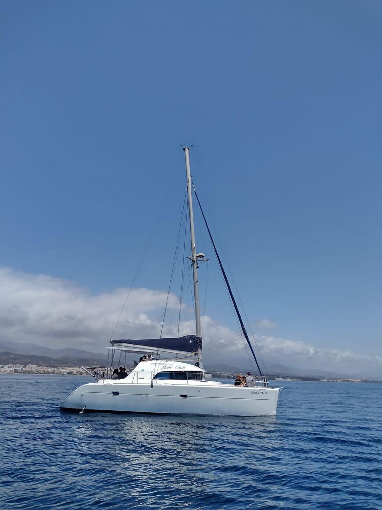 Delfinbeobachtung in Estepona