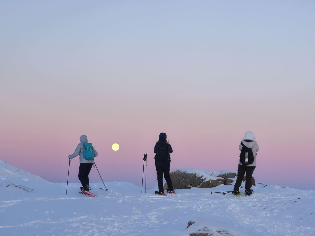Von Tromsø aus: Schneeschuhwanderung in der Arktis