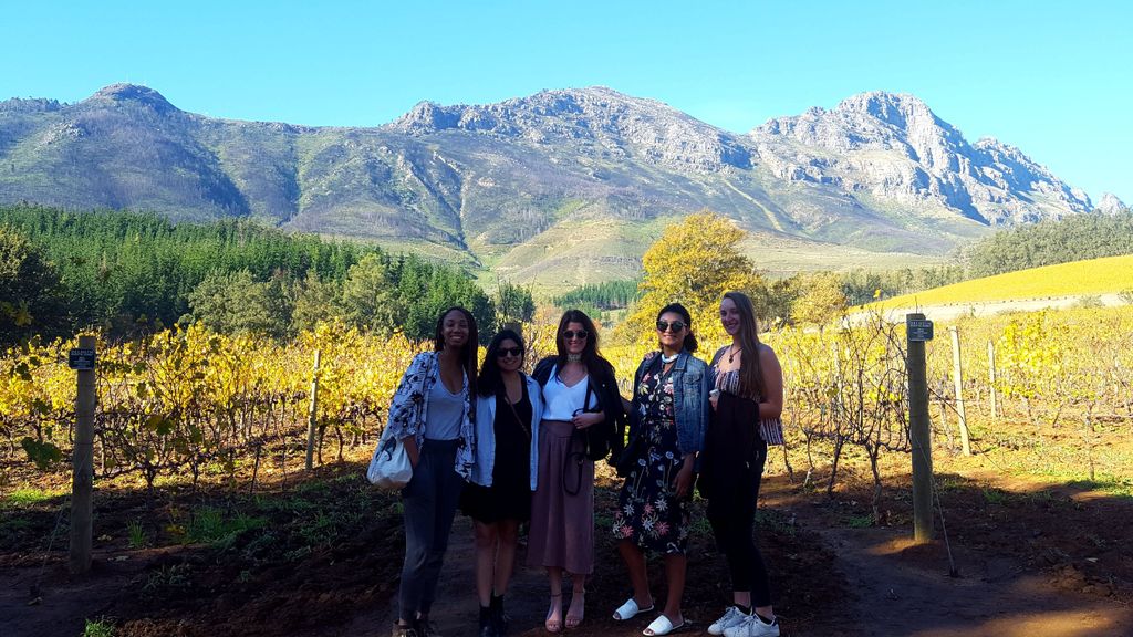Stellenbosch: Eastern Route Hop-On/Hop-Off Wine Tour
