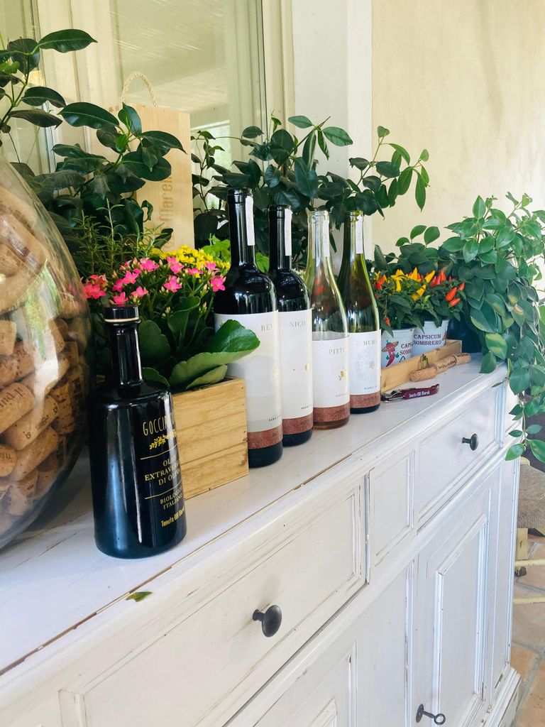 Lucca - Natürliche Weinverkostung auf der Tenuta Mareli