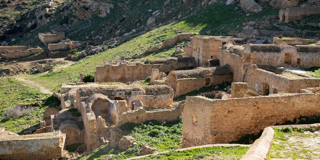 Tagestour: Zriba Olia, Dogga