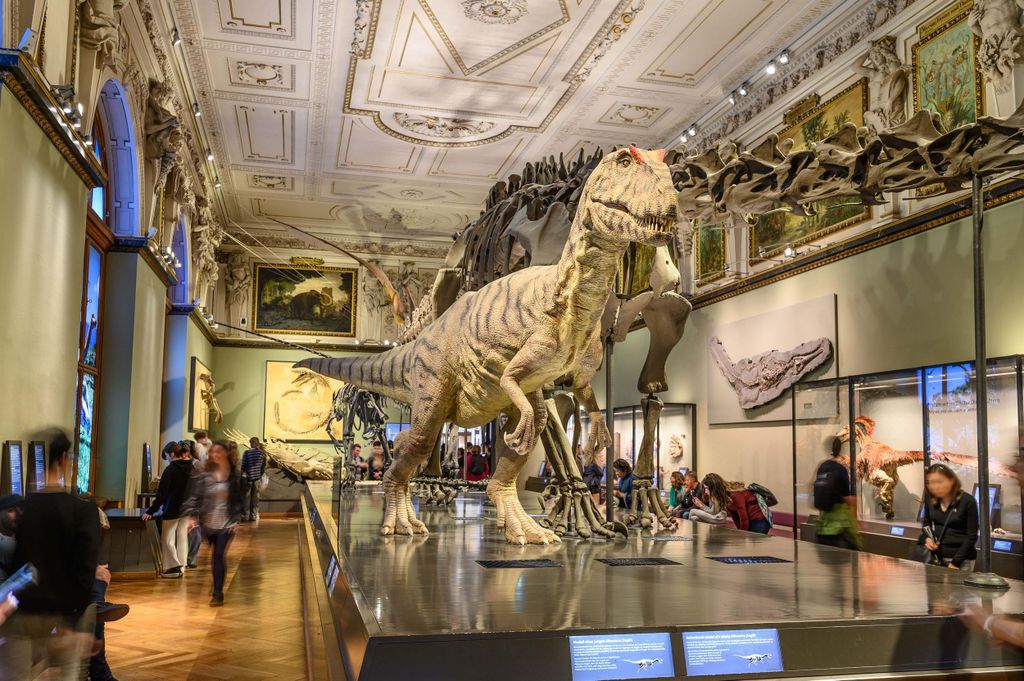 Wien: Ticket fürs Naturhistorische Museum