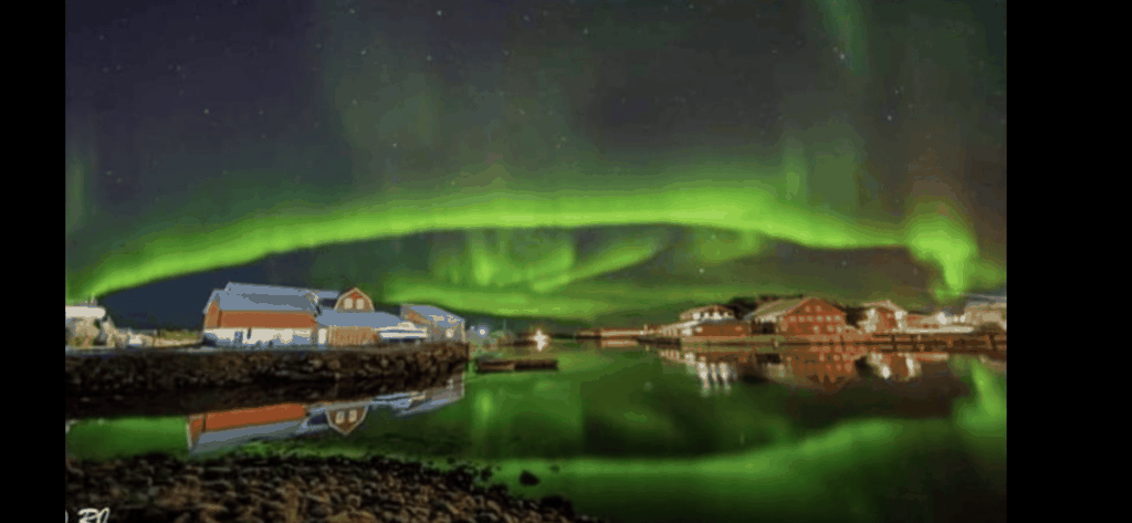 Lofoten: Kleingruppentour zur Jagd nach den Nordlichtern per Minibus/Bus