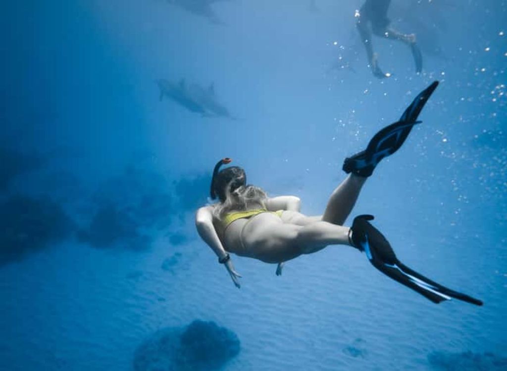 Sansibar: Delfinbeobachtung & Schnorcheln in Korallen – mit Respekt