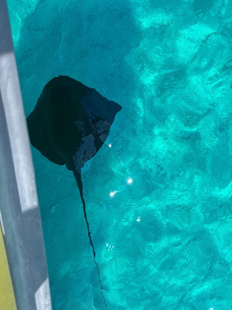 Saranda: Schnellboot zu versteckten Buchten und wilden Stränden