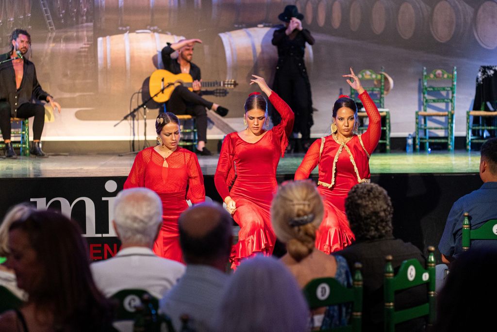 Estepona: Eintrittskarte für die andalusische Flamenco-Show mit Getränk