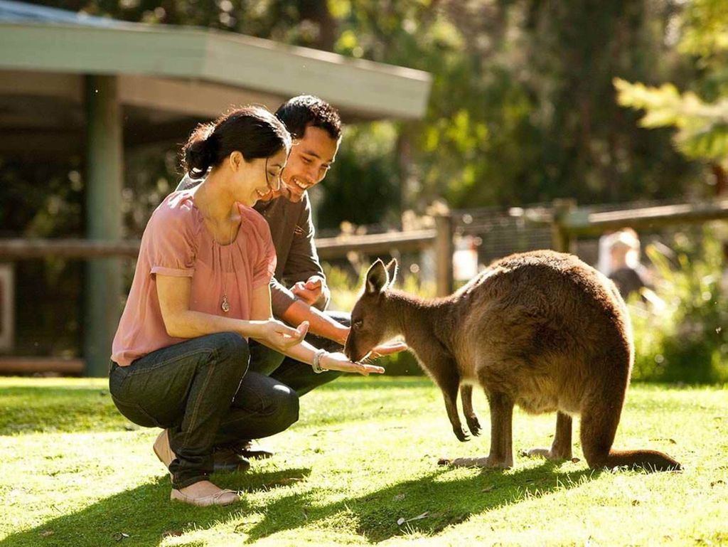 Perth Wildlife Park & City Highlights - Kleingruppentouren