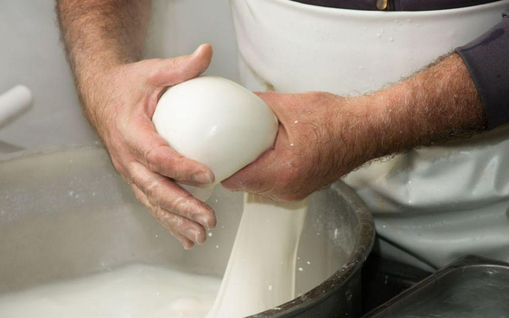 Apulien: Mozzarella-Erlebnis auf einem apulischen Bauernhof