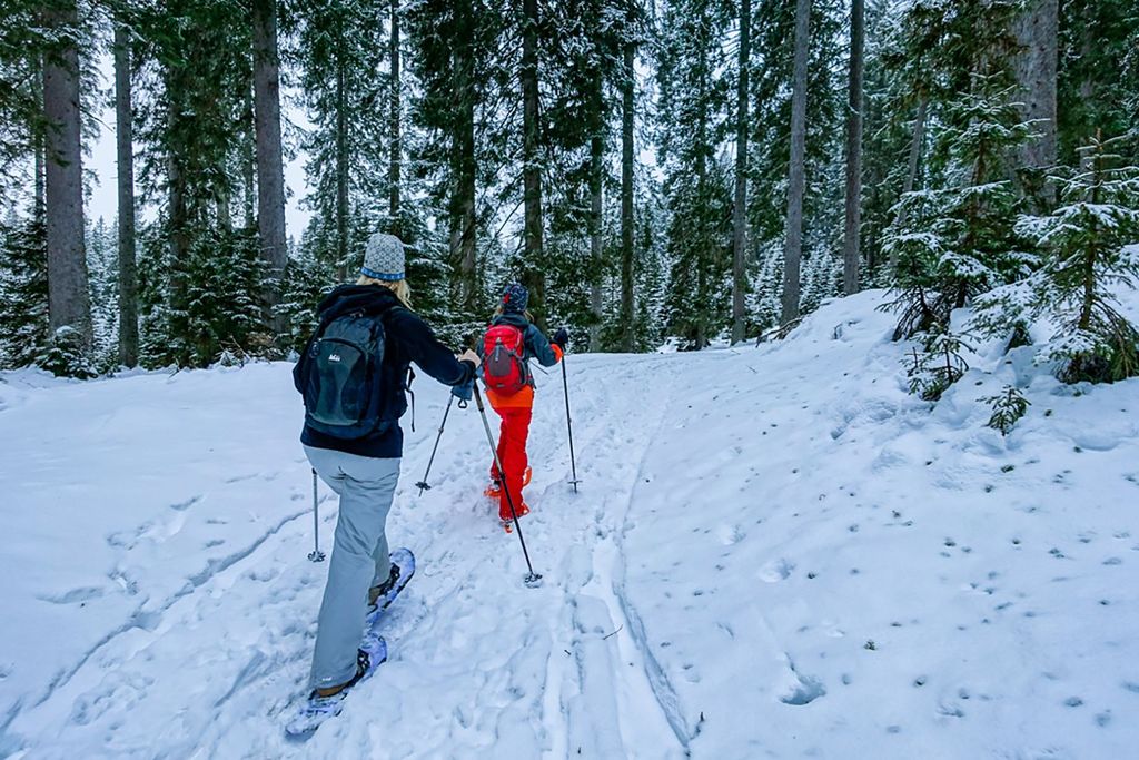 Schneeschuhwandern im Triglav-Nationalpark