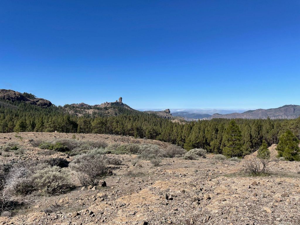 Gran Canaria: Ausflug zum Roque Nublo