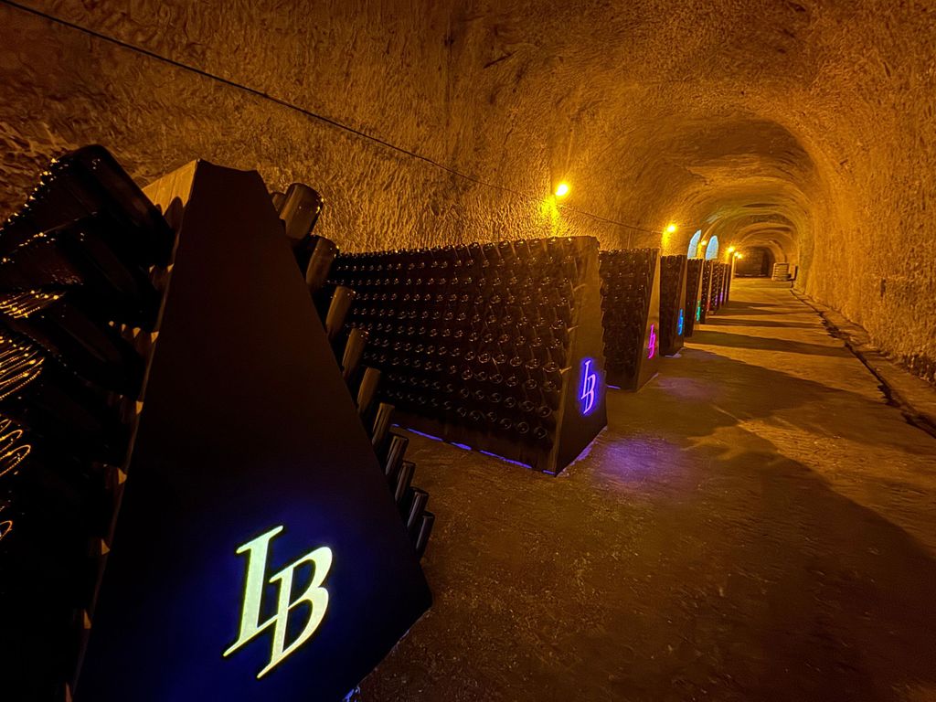 Châlons: Besuch des galloromanischen Kellers (UNESCO) + 3 Verkostungen