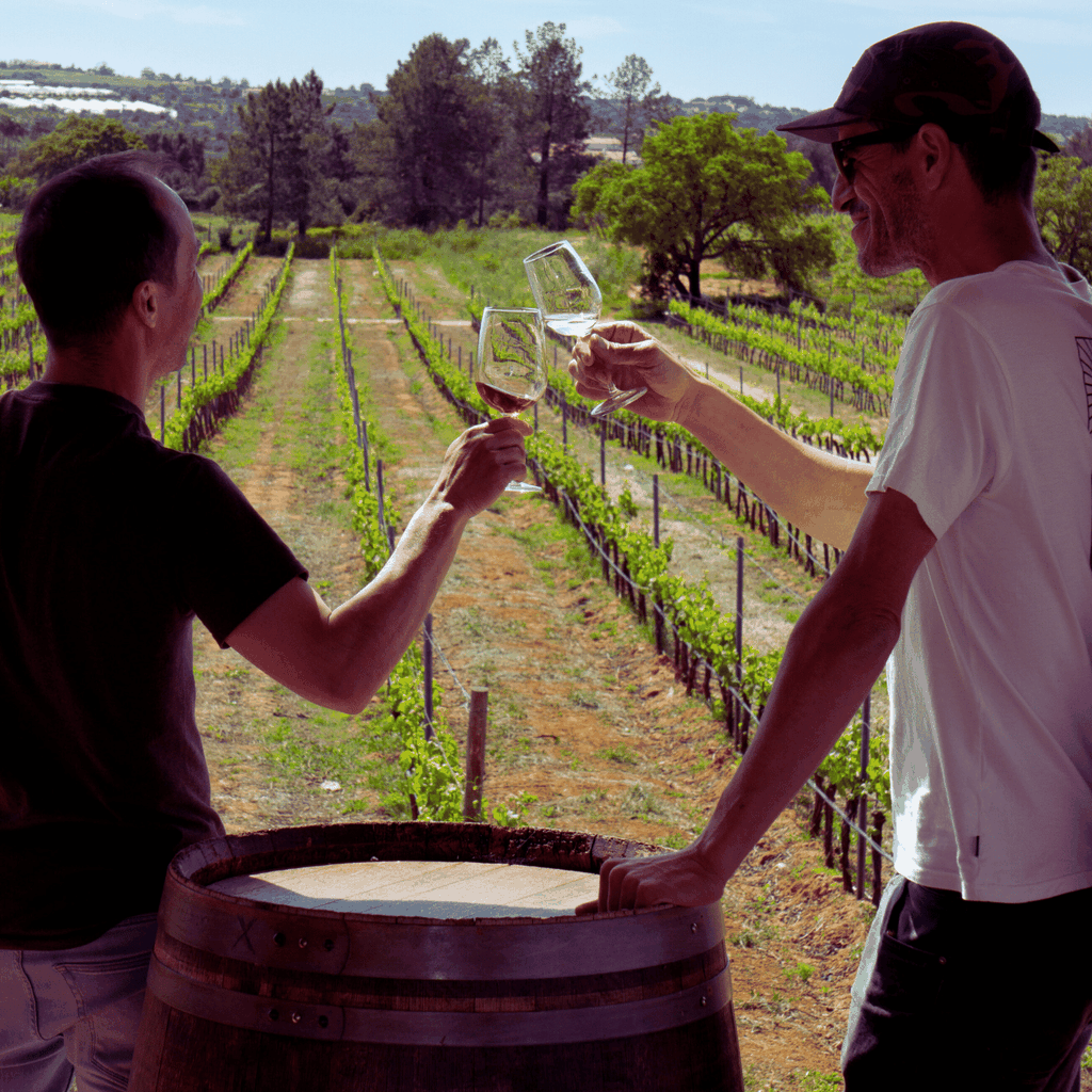 Die echte Algarve: 2 Boutique-Weingüter & Silves-Tour