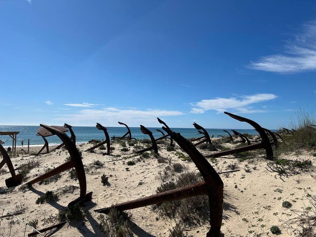 Besichtigung von Tavira nach Olhao und zurück mit dem Fahrrad