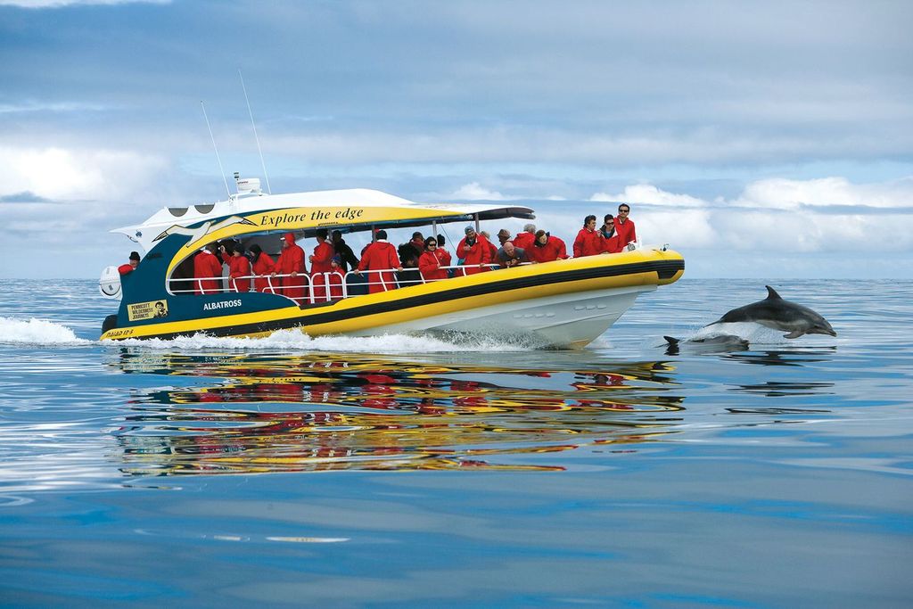 Hobart: Bruny Island Wilderness Coast Eco Cruise mit Mittagessen