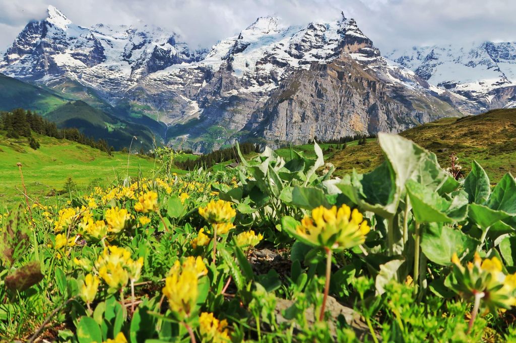 Wanderung Lauterbrunnen-Mürren mit Trümmelbach-Wasserfällen Besuch