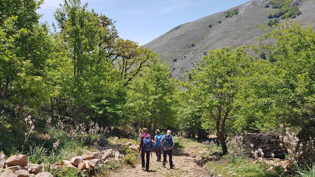 Wandern im Herzen des Madonie-Parks ab Castelbuono