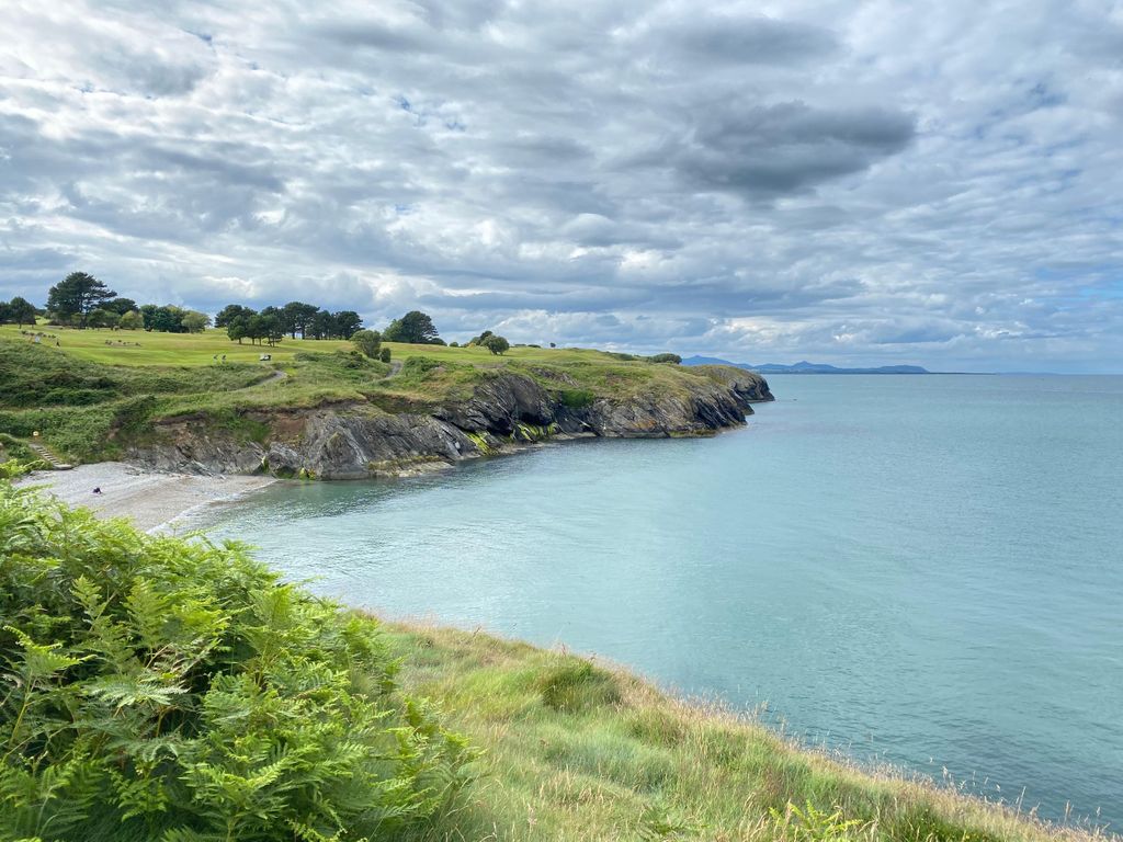 Wicklow: Geführte Klippenwanderung mit Robben und Stadtrundfahrt mit Picknick