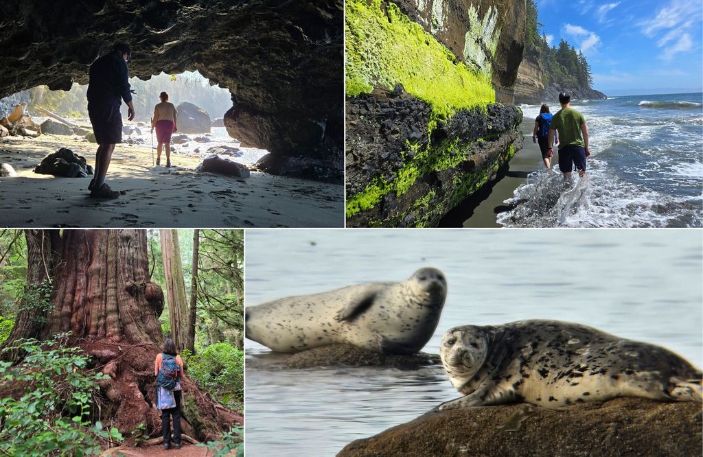 Victoria West Coast: Wildtiere, Primärwald und Wasserfälle