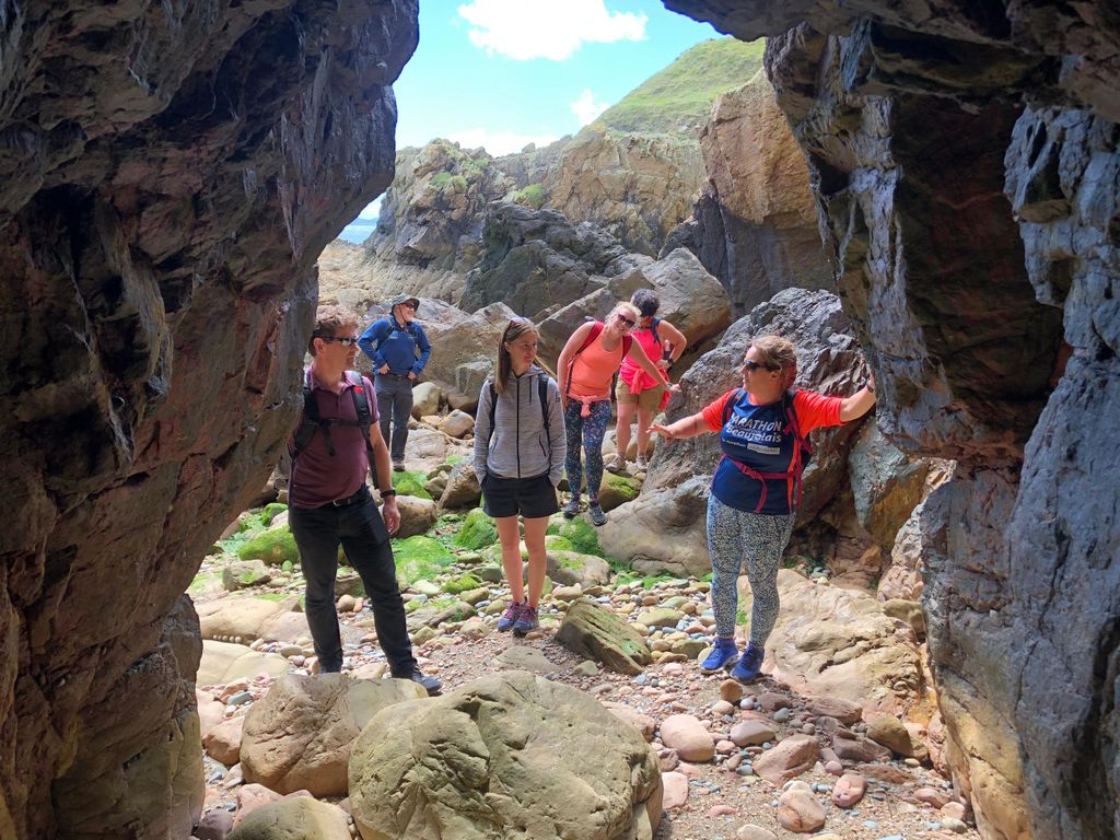 Dublin: Howth Safari Wandertour