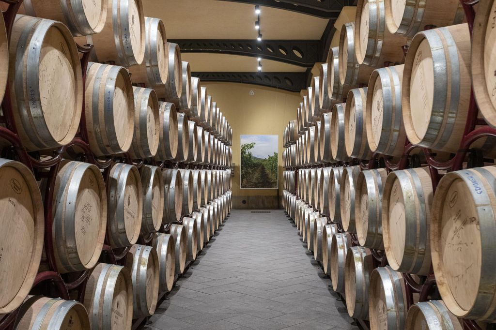 Tour und Premium-Weinverkostung auf der Duca di Salaparuta