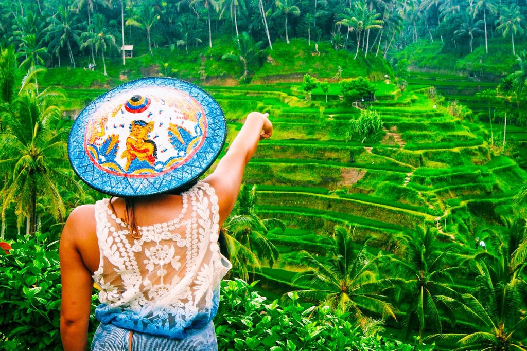 Ubud: Wasserfall, Reisterrassen und Affenwald – private Tour