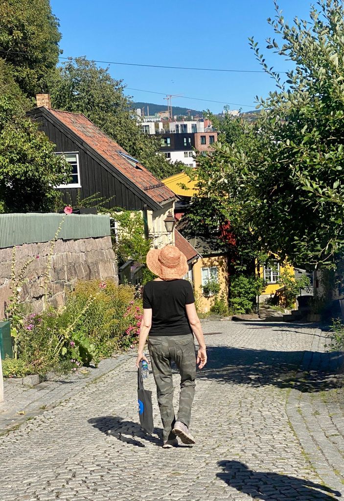 Oslo: Privater Rundgang zu Highlights & Geheimtipps