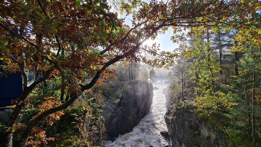 Kristiansand: Wildlachszentrum Geführte Tour mit Busfahrt
