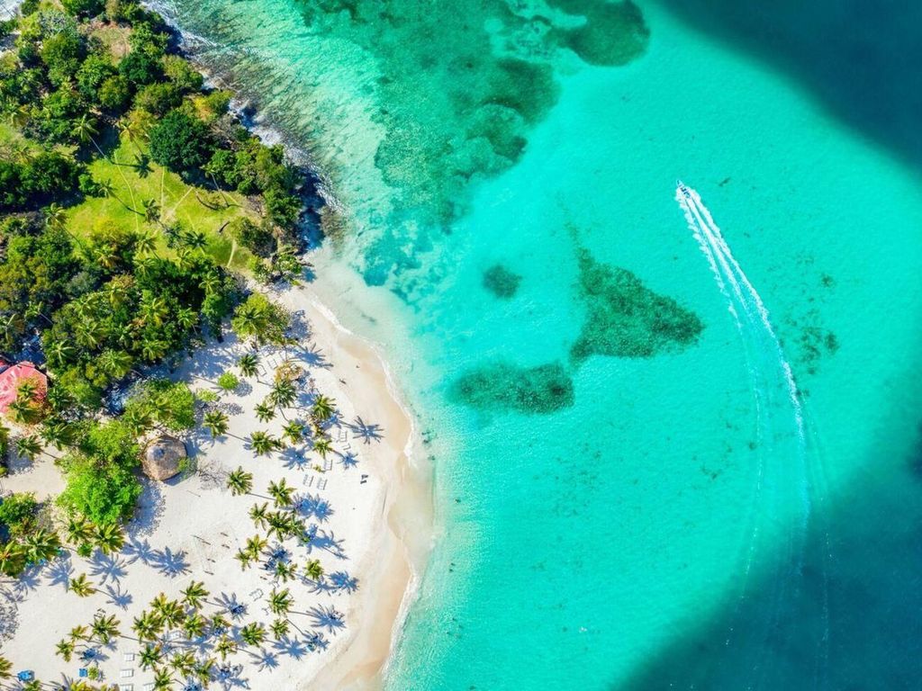 Samaná: Besuch von Samaná, Parque Los Haitises und der Insel Cayo Levantado