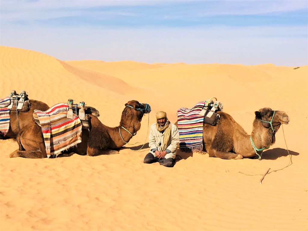 Von Djerba aus: Ganztagestour Ksar Ghilane, Sahara und Oasen